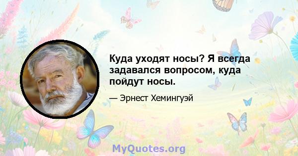 Куда уходят носы? Я всегда задавался вопросом, куда пойдут носы.