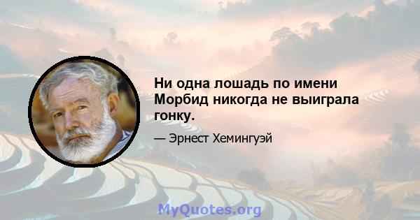 Ни одна лошадь по имени Морбид никогда не выиграла гонку.