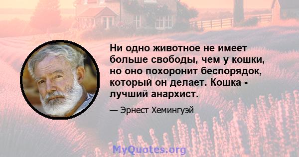 Ни одно животное не имеет больше свободы, чем у кошки, но оно похоронит беспорядок, который он делает. Кошка - лучший анархист.