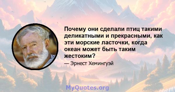 Почему они сделали птиц такими деликатными и прекрасными, как эти морские ласточки, когда океан может быть таким жестоким?