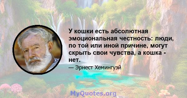 У кошки есть абсолютная эмоциональная честность: люди, по той или иной причине, могут скрыть свои чувства, а кошка - нет.