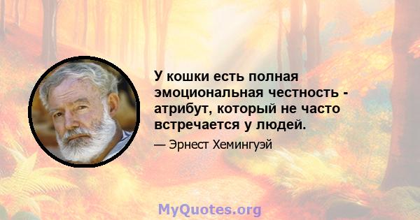 У кошки есть полная эмоциональная честность - атрибут, который не часто встречается у людей.