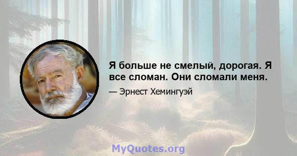 Я больше не смелый, дорогая. Я все сломан. Они сломали меня.