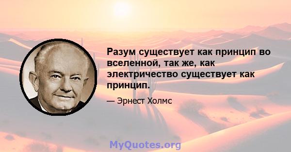 Разум существует как принцип во вселенной, так же, как электричество существует как принцип.