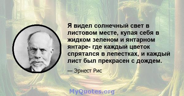 Я видел солнечный свет в листовом месте, купая себя в жидком зеленом и янтарном янтаре- где каждый цветок спрятался в лепестках, и каждый лист был прекрасен с дождем.