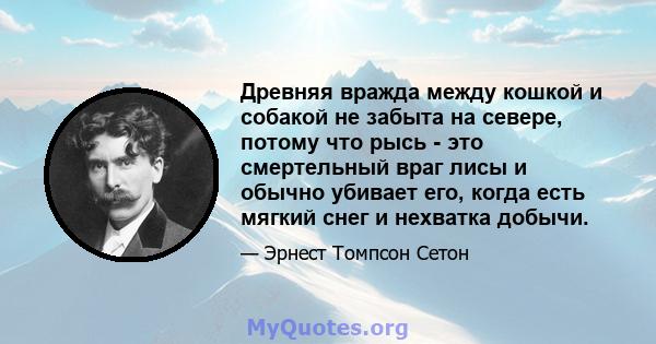 Древняя вражда между кошкой и собакой не забыта на севере, потому что рысь - это смертельный враг лисы и обычно убивает его, когда есть мягкий снег и нехватка добычи.