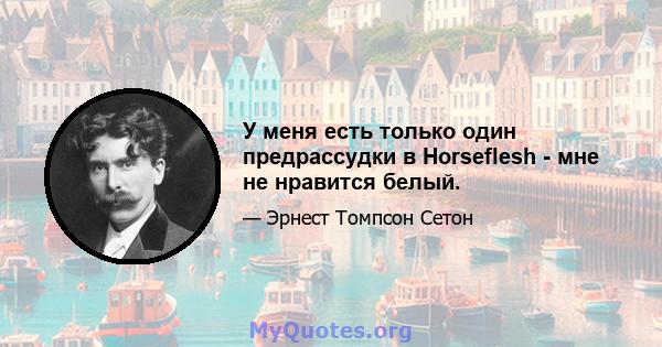 У меня есть только один предрассудки в Horseflesh - мне не нравится белый.