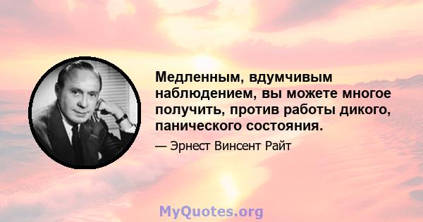 Медленным, вдумчивым наблюдением, вы можете многое получить, против работы дикого, панического состояния.