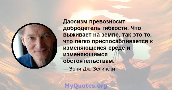 Даосизм превозносит добродетель гибкости. Что выживает на земле, так это то, что легко приспосабливается к изменяющейся среде и изменяющимся обстоятельствам.