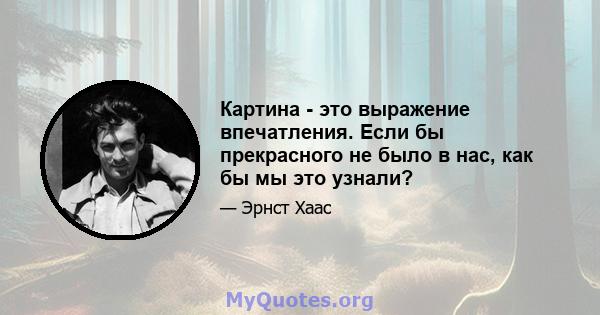 Картина - это выражение впечатления. Если бы прекрасного не было в нас, как бы мы это узнали?