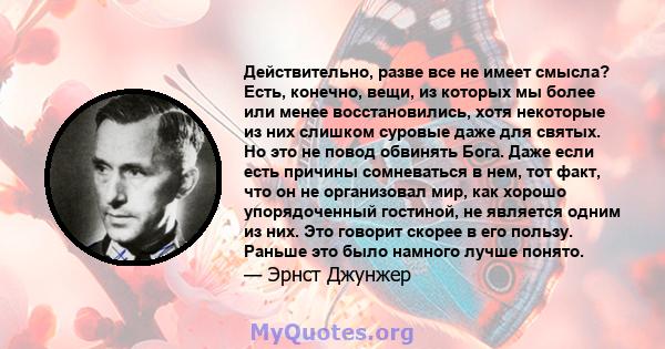 Действительно, разве все не имеет смысла? Есть, конечно, вещи, из которых мы более или менее восстановились, хотя некоторые из них слишком суровые даже для святых. Но это не повод обвинять Бога. Даже если есть причины