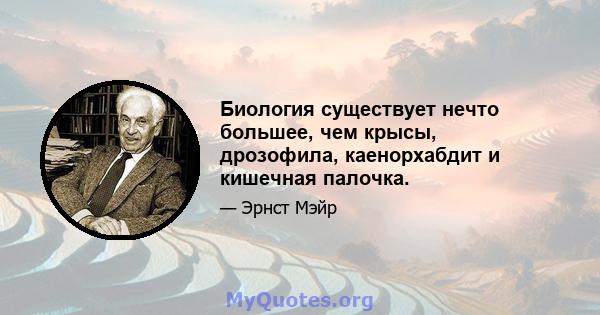 Биология существует нечто большее, чем крысы, дрозофила, каенорхабдит и кишечная палочка.