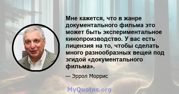 Мне кажется, что в жанре документального фильма это может быть экспериментальное кинопроизводство. У вас есть лицензия на то, чтобы сделать много разнообразных вещей под эгидой «документального фильма».