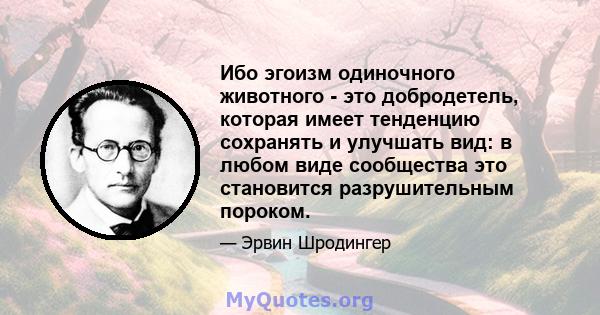 Ибо эгоизм одиночного животного - это добродетель, которая имеет тенденцию сохранять и улучшать вид: в любом виде сообщества это становится разрушительным пороком.