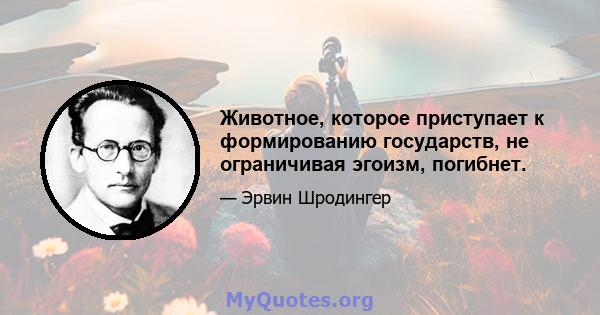 Животное, которое приступает к формированию государств, не ограничивая эгоизм, погибнет.