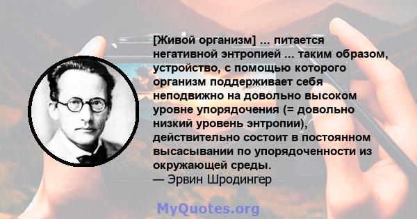 [Живой организм] ... питается негативной энтропией ... таким образом, устройство, с помощью которого организм поддерживает себя неподвижно на довольно высоком уровне упорядочения (= довольно низкий уровень энтропии),