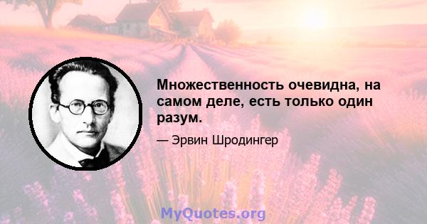 Множественность очевидна, на самом деле, есть только один разум.