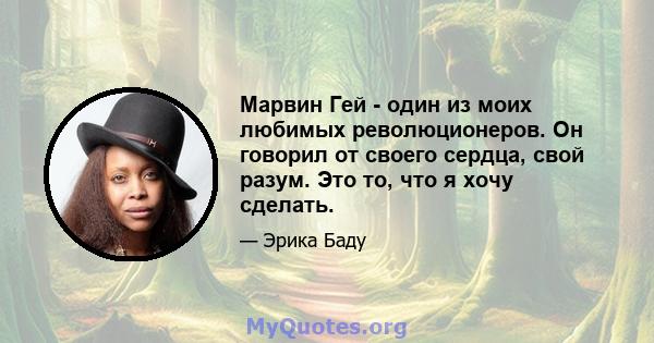 Марвин Гей - один из моих любимых революционеров. Он говорил от своего сердца, свой разум. Это то, что я хочу сделать.