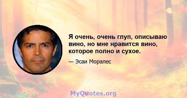 Я очень, очень глуп, описываю вино, но мне нравится вино, которое полно и сухое.