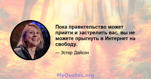 Пока правительство может прийти и застрелить вас, вы не можете прыгнуть в Интернет на свободу.