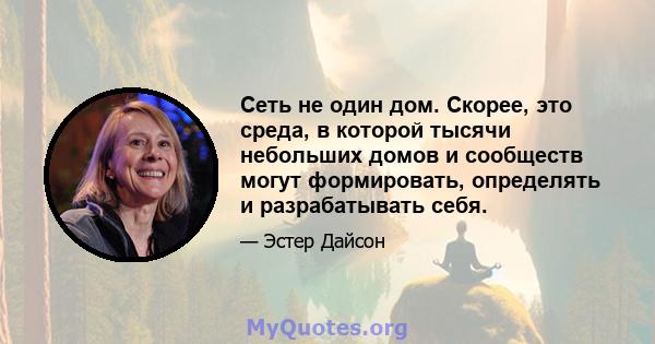 Сеть не один дом. Скорее, это среда, в которой тысячи небольших домов и сообществ могут формировать, определять и разрабатывать себя.