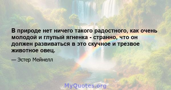 В природе нет ничего такого радостного, как очень молодой и глупый ягненка - странно, что он должен развиваться в это скучное и трезвое животное овец.