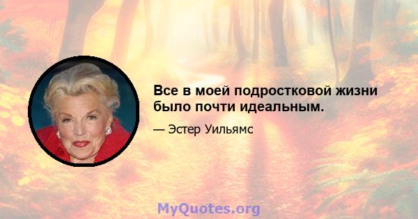 Все в моей подростковой жизни было почти идеальным.