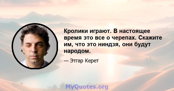 Кролики играют. В настоящее время это все о черепах. Скажите им, что это ниндзя, они будут народом.