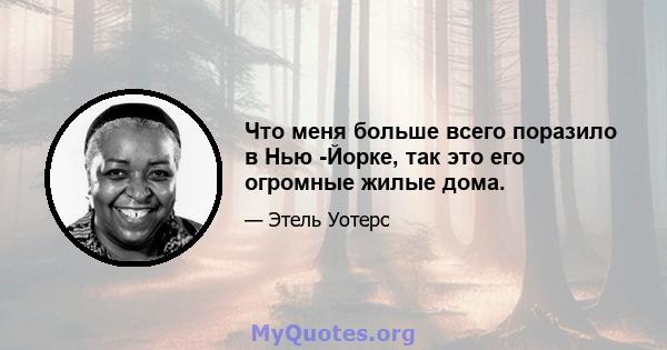 Что меня больше всего поразило в Нью -Йорке, так это его огромные жилые дома.