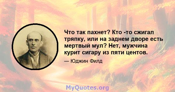 Что так пахнет? Кто -то сжигал тряпку, или на заднем дворе есть мертвый мул? Нет, мужчина курит сигару из пяти центов.