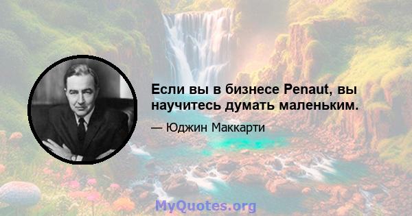 Если вы в бизнесе Penaut, вы научитесь думать маленьким.