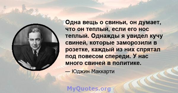 Одна вещь о свиньи, он думает, что он теплый, если его нос теплый. Однажды я увидел кучу свиней, которые заморозили в розетке, каждый из них спрятал под повесом спереди. У нас много свиней в политике.