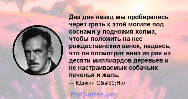 Два дня назад мы пробирались через грязь к этой могиле под соснами у подножия холма, чтобы положить на нее рождественский венок, надеясь, что он посмотрит вниз из рая из десяти миллиардов деревьев и не настраиваемых