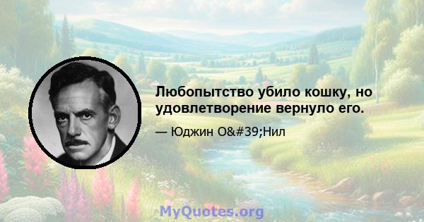 Любопытство убило кошку, но удовлетворение вернуло его.