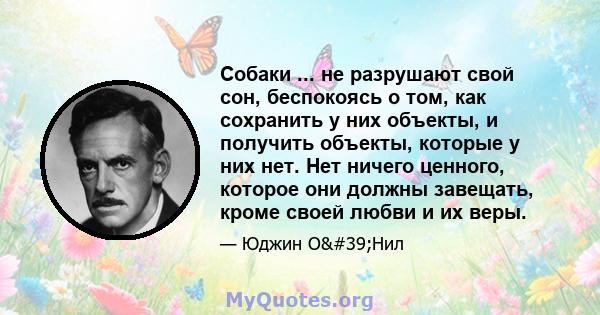 Собаки ... не разрушают свой сон, беспокоясь о том, как сохранить у них объекты, и получить объекты, которые у них нет. Нет ничего ценного, которое они должны завещать, кроме своей любви и их веры.