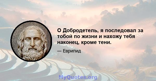 O Добродетель, я последовал за тобой по жизни и нахожу тебя наконец, кроме тени.