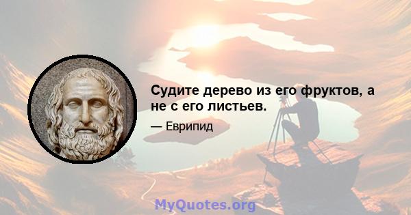 Судите дерево из его фруктов, а не с его листьев.