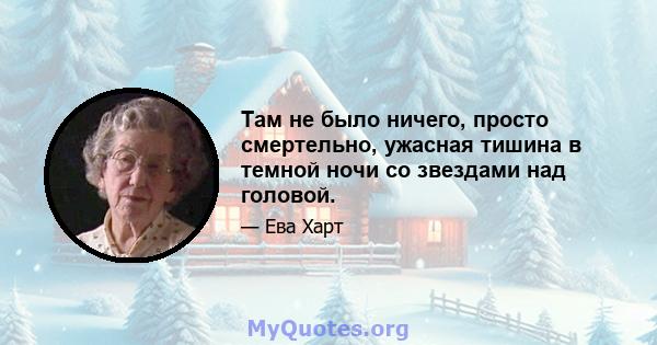 Там не было ничего, просто смертельно, ужасная тишина в темной ночи со звездами над головой.