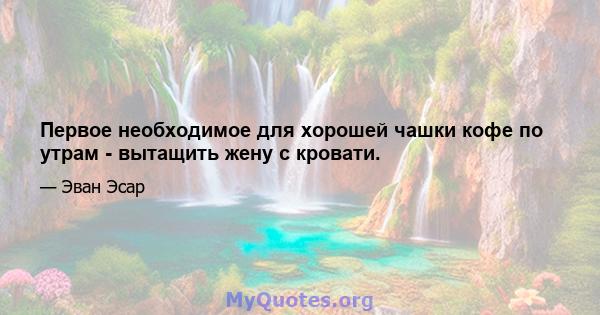 Первое необходимое для хорошей чашки кофе по утрам - вытащить жену с кровати.