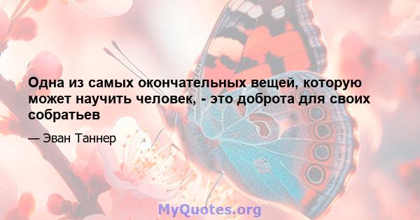 Одна из самых окончательных вещей, которую может научить человек, - это доброта для своих собратьев