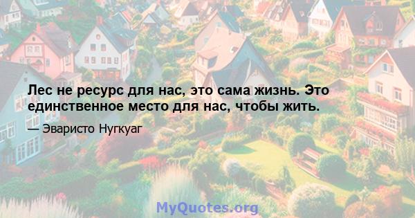 Лес не ресурс для нас, это сама жизнь. Это единственное место для нас, чтобы жить.