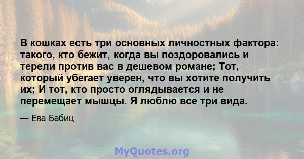 В кошках есть три основных личностных фактора: такого, кто бежит, когда вы поздоровались и терели против вас в дешевом романе; Тот, который убегает уверен, что вы хотите получить их; И тот, кто просто оглядывается и не