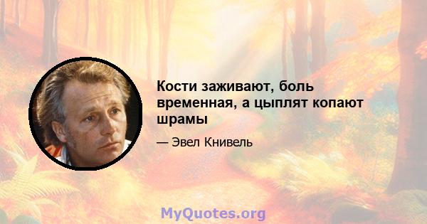 Кости заживают, боль временная, а цыплят копают шрамы