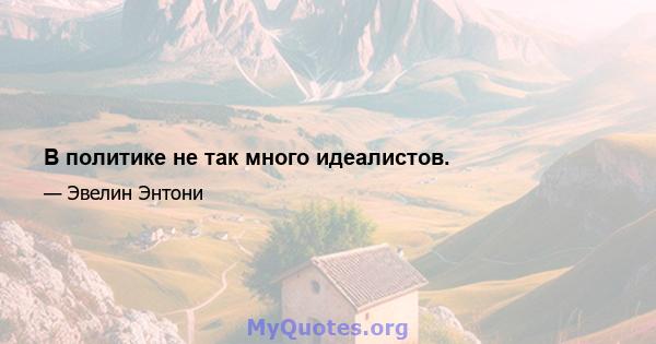 В политике не так много идеалистов.