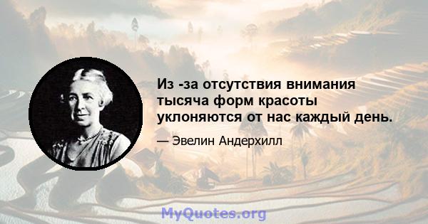 Из -за отсутствия внимания тысяча форм красоты уклоняются от нас каждый день.