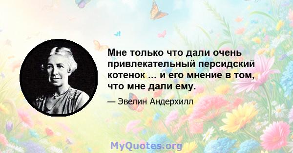 Мне только что дали очень привлекательный персидский котенок ... и его мнение в том, что мне дали ему.