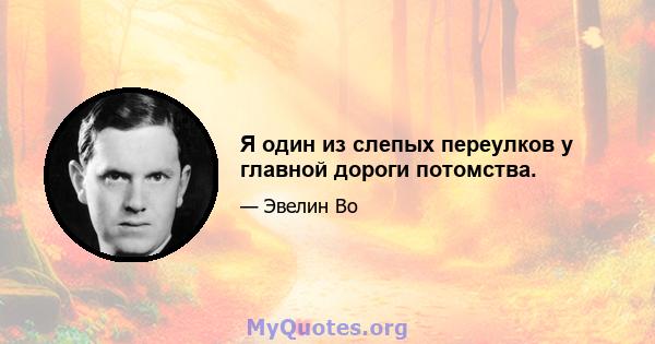 Я один из слепых переулков у главной дороги потомства.