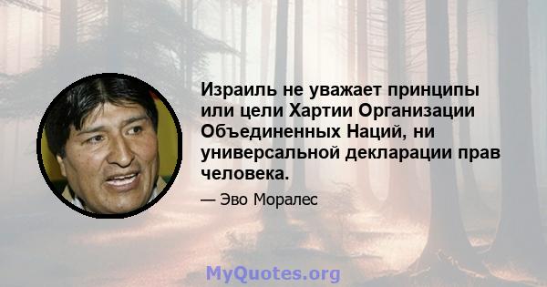 Израиль не уважает принципы или цели Хартии Организации Объединенных Наций, ни универсальной декларации прав человека.