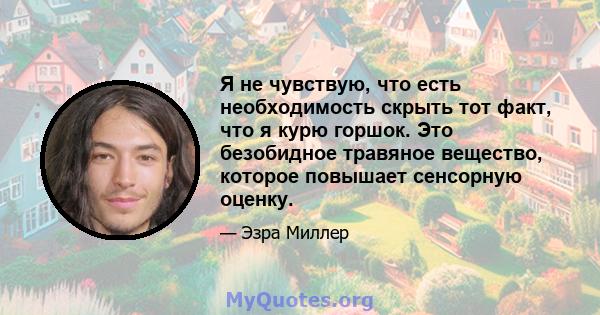 Я не чувствую, что есть необходимость скрыть тот факт, что я курю горшок. Это безобидное травяное вещество, которое повышает сенсорную оценку.