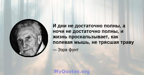 И дни не достаточно полны, а ночи не достаточно полны, и жизнь проскальзывает, как полевая мышь, не трясшая траву